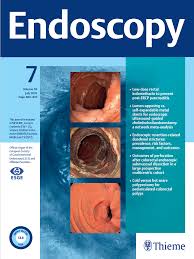 Endoscopy cover